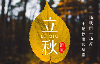 今日立秋：暑去涼來，一葉知秋。